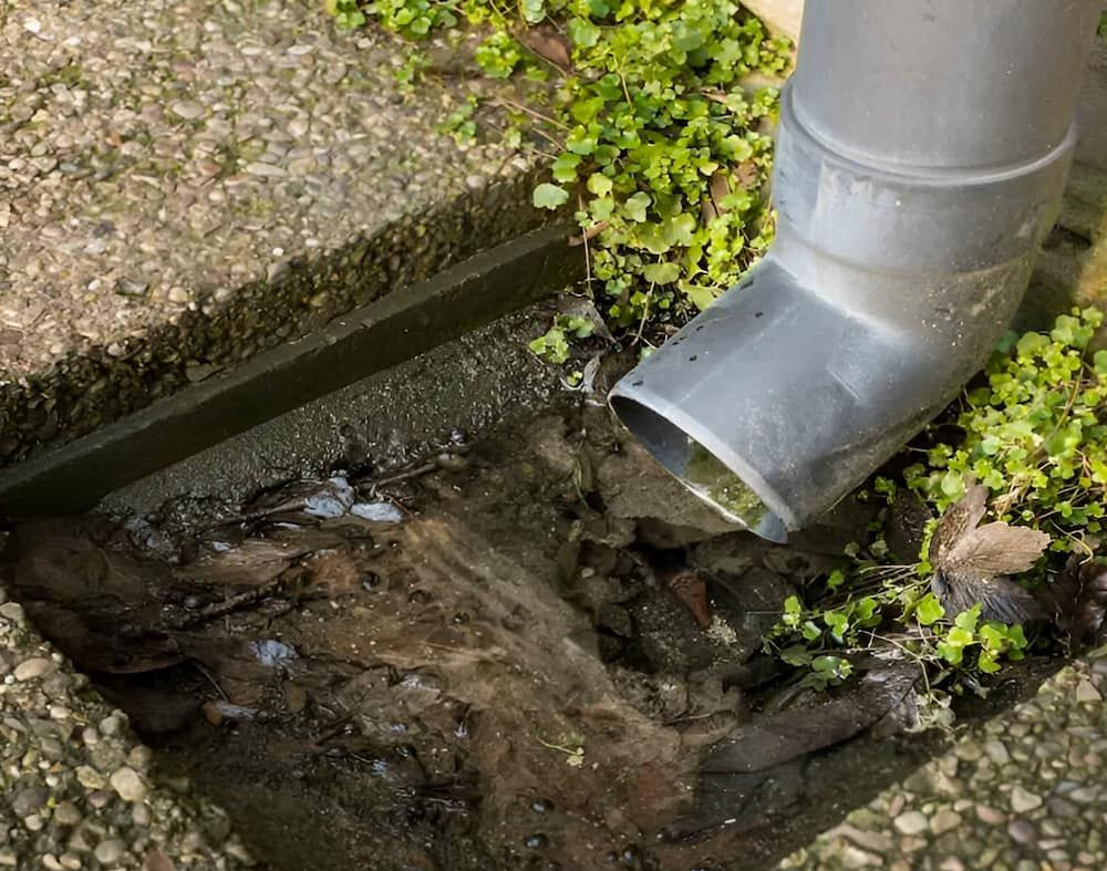 Grey Downspout Draining Into a Clogged Outdoor Drain Filled — Corrimal Plumbing Services in Austinmer, NSW