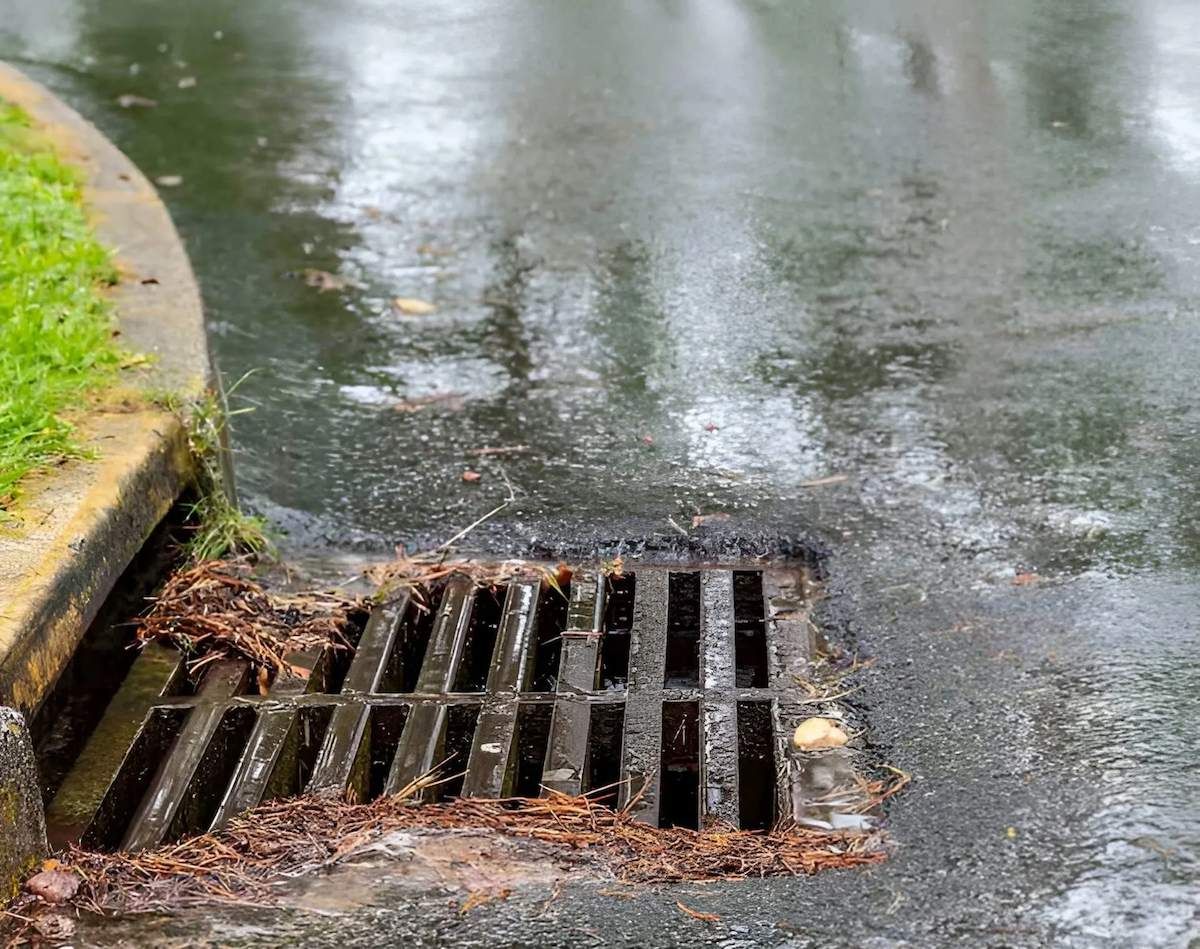 Plumber In Bulli Clearing Blocked Stormwater Drain After Heavy Rain